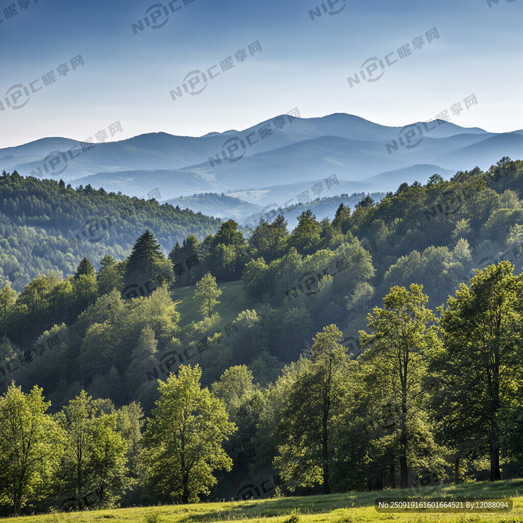 风景。写实风格 照片质感