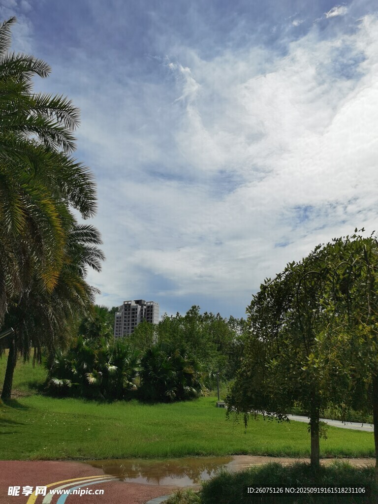 公园绿意盎然的美丽景致