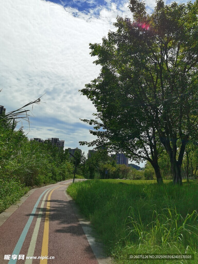 郊外彩色骑行道风景