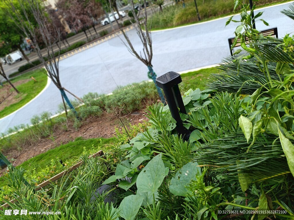 户外绿植中的黑色灯具