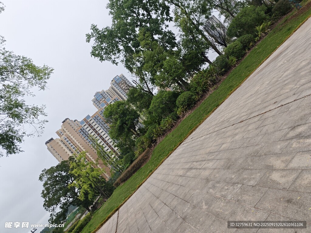 城市中开阔的林荫道路