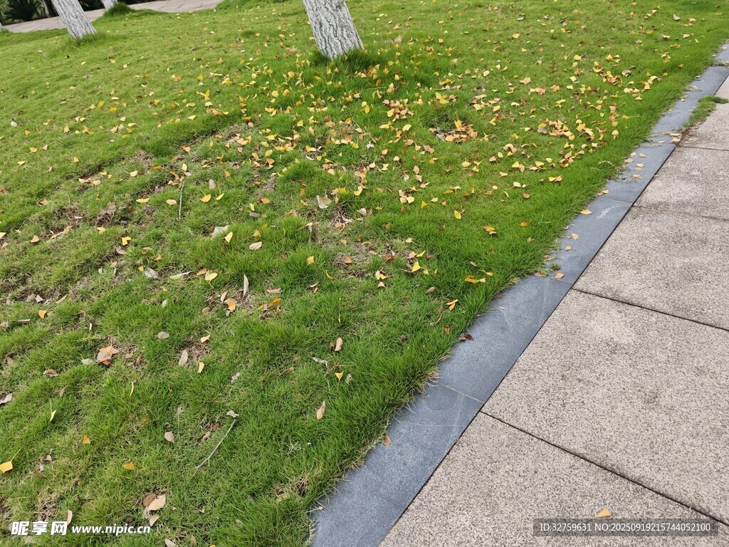 草坪旁的石板路