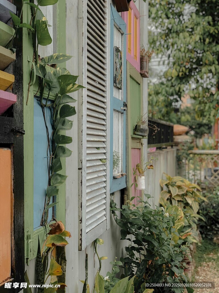 多彩墙面旁的绿植景致