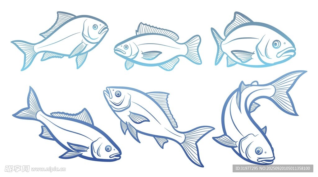 鱼类线条插画
