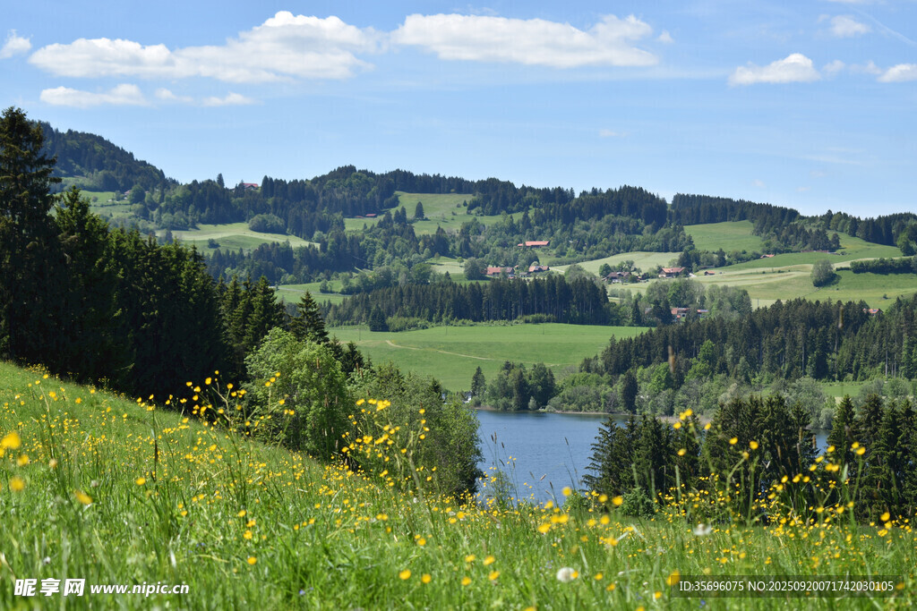 山间湖畔的烂漫草地风光