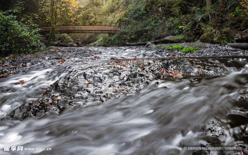山间溪流潺潺流淌