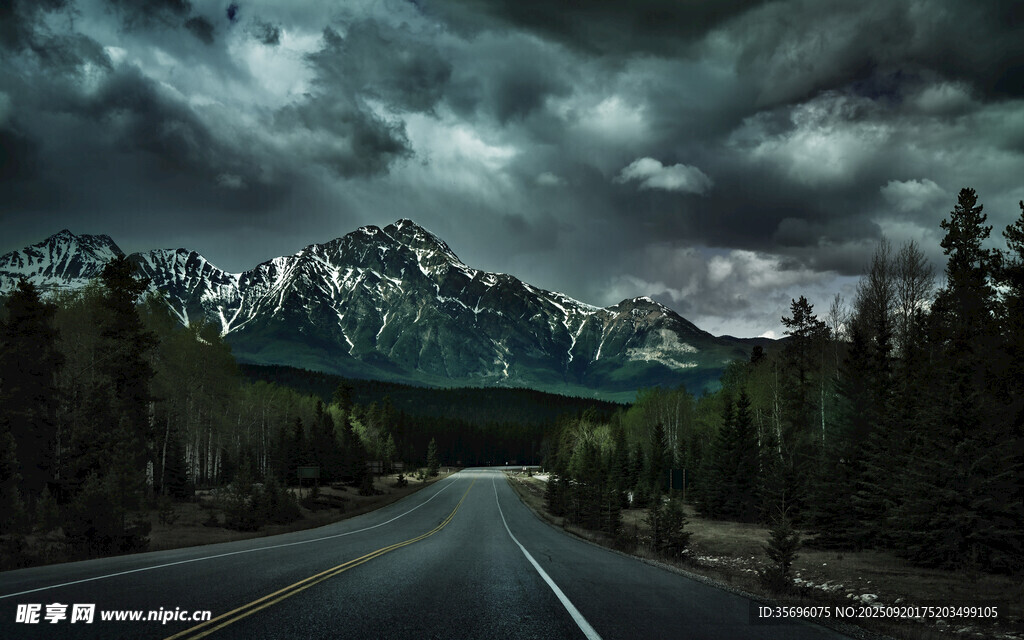 公路穿行于山林与云雾间