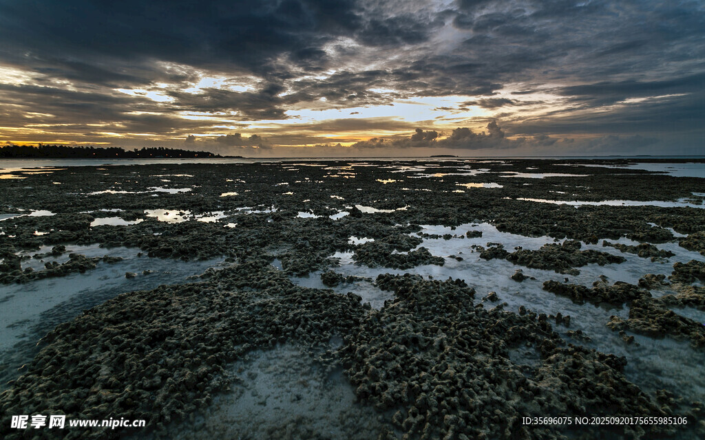 黄昏下的海岸礁石景观