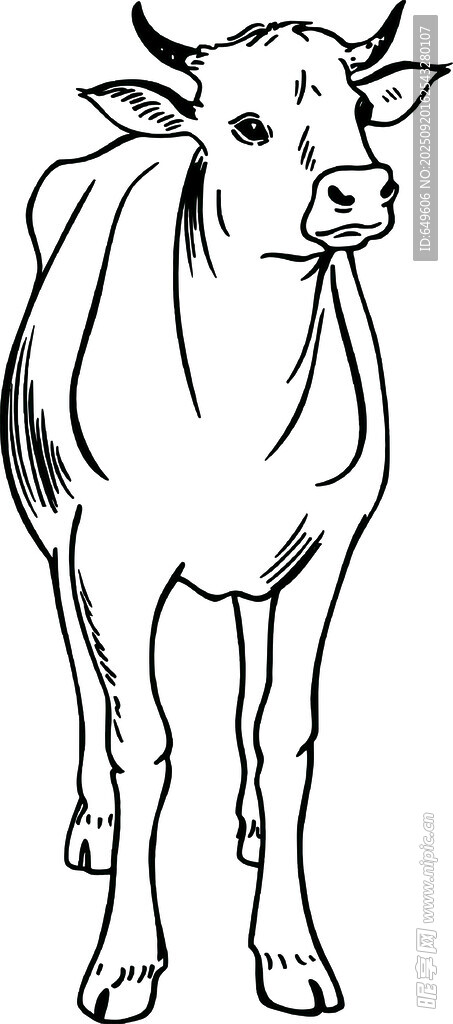 站立的牛简笔画