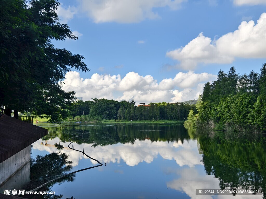湖畔美景蓝天白云映绿水