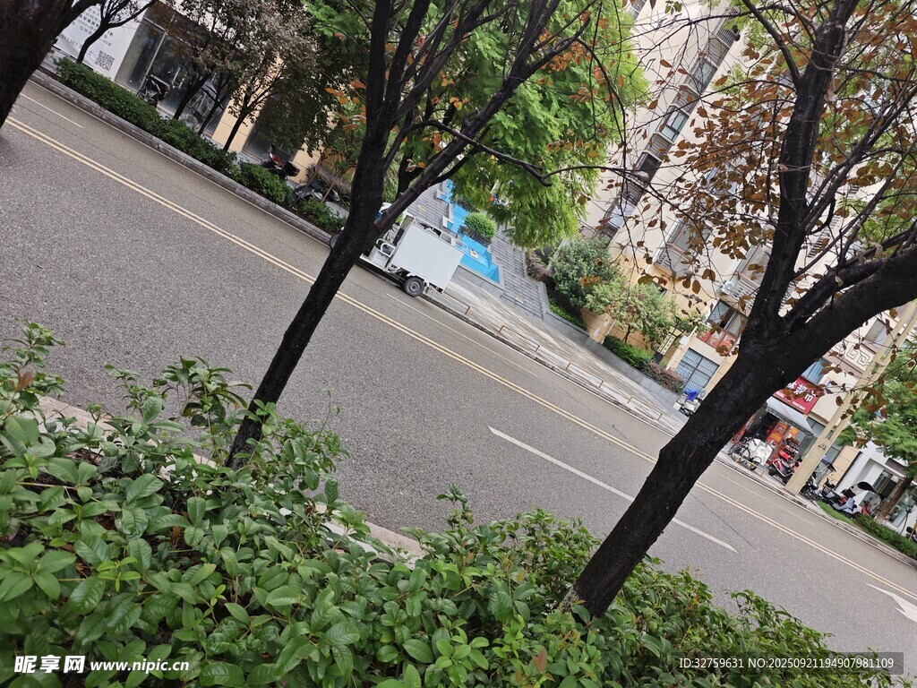 城市街边绿植与树木景观
