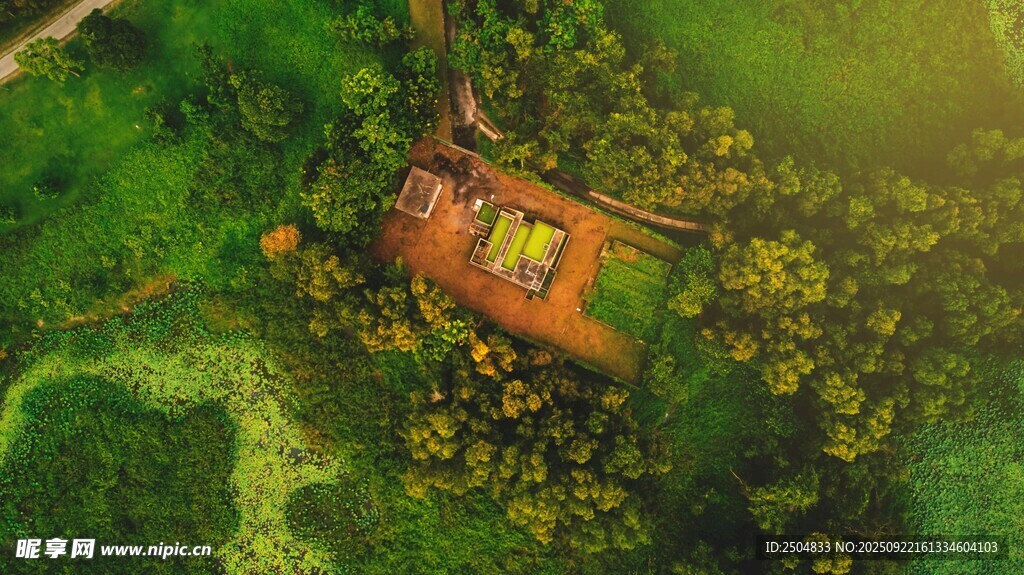 森林中的温馨小屋