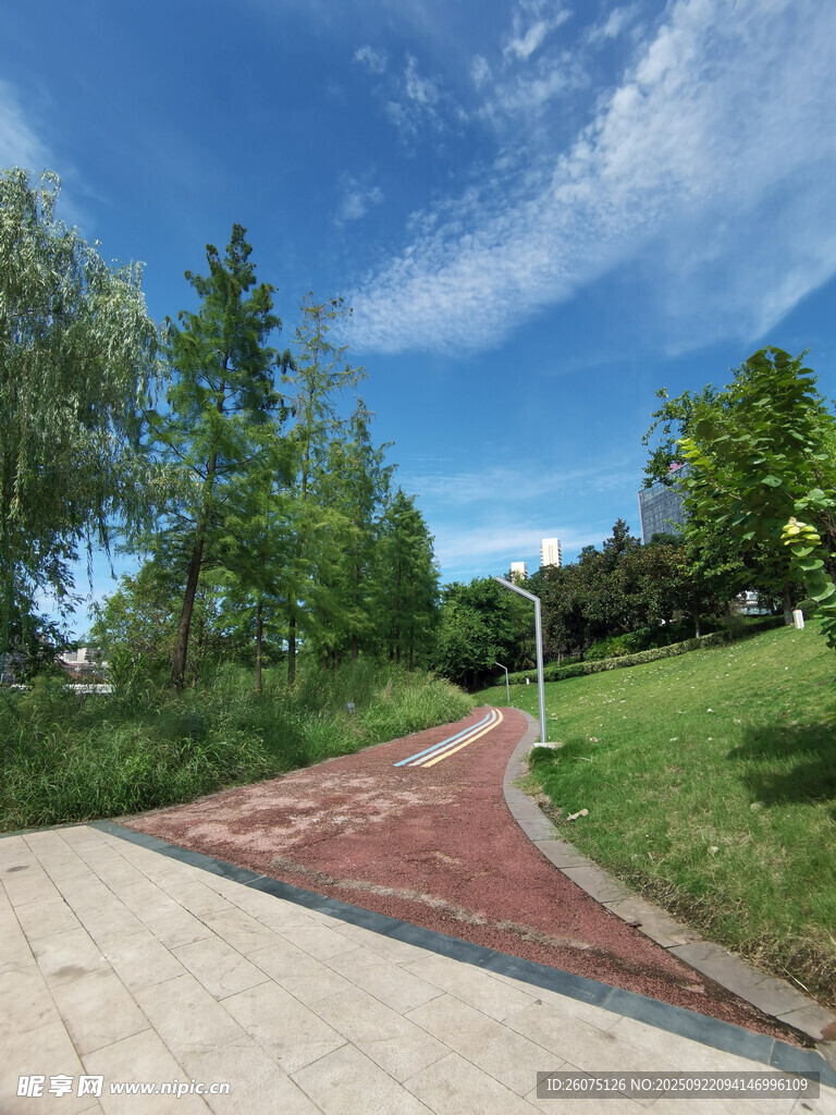 林间红砖步道绿意盎然