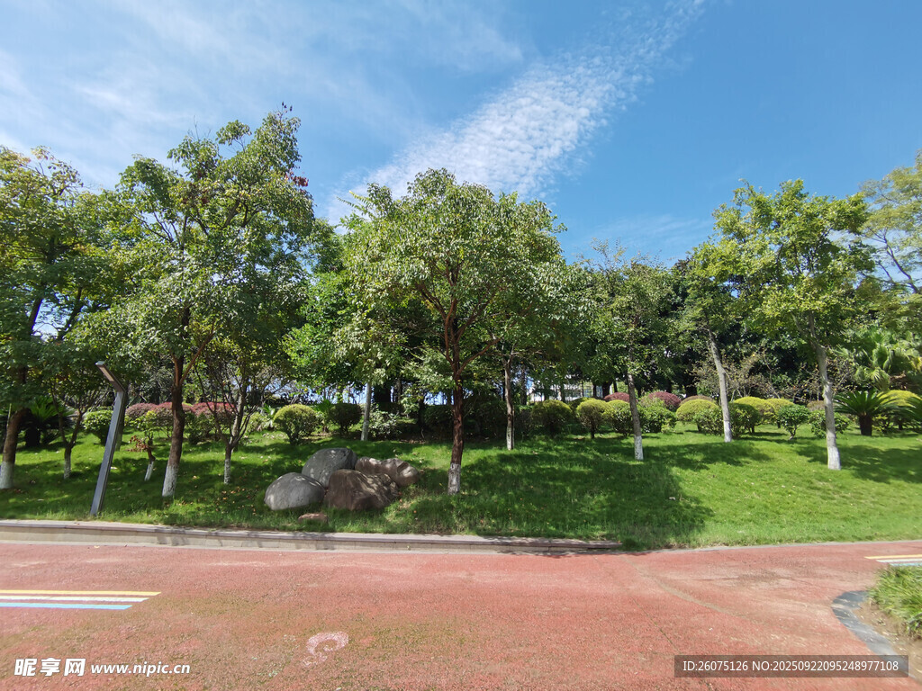 公园绿意盎然的休闲场景