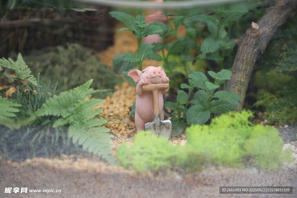 迷你花园中的精致小景