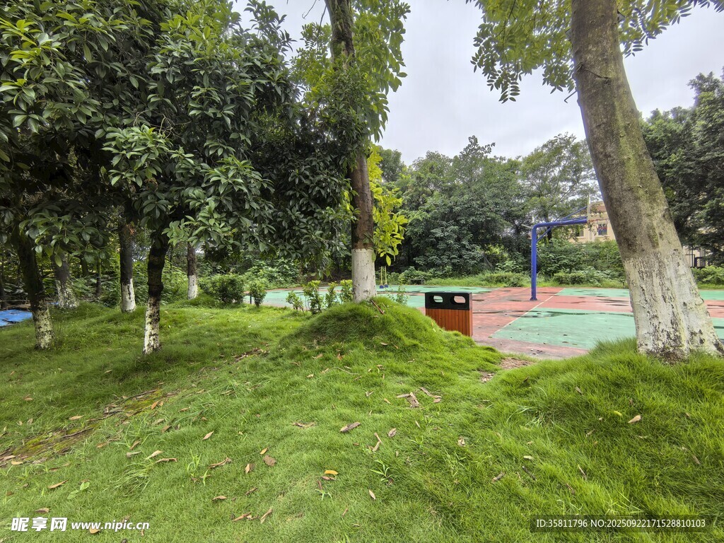 绿意盎然的公园休闲场景