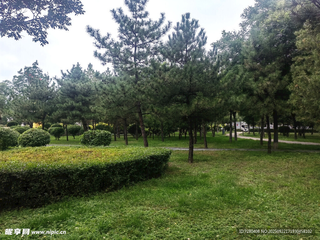 公园绿意盎然的景致