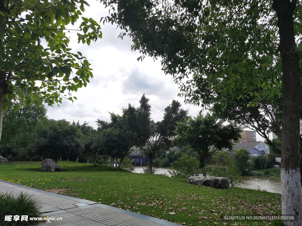 公园绿意盎然的休闲场景