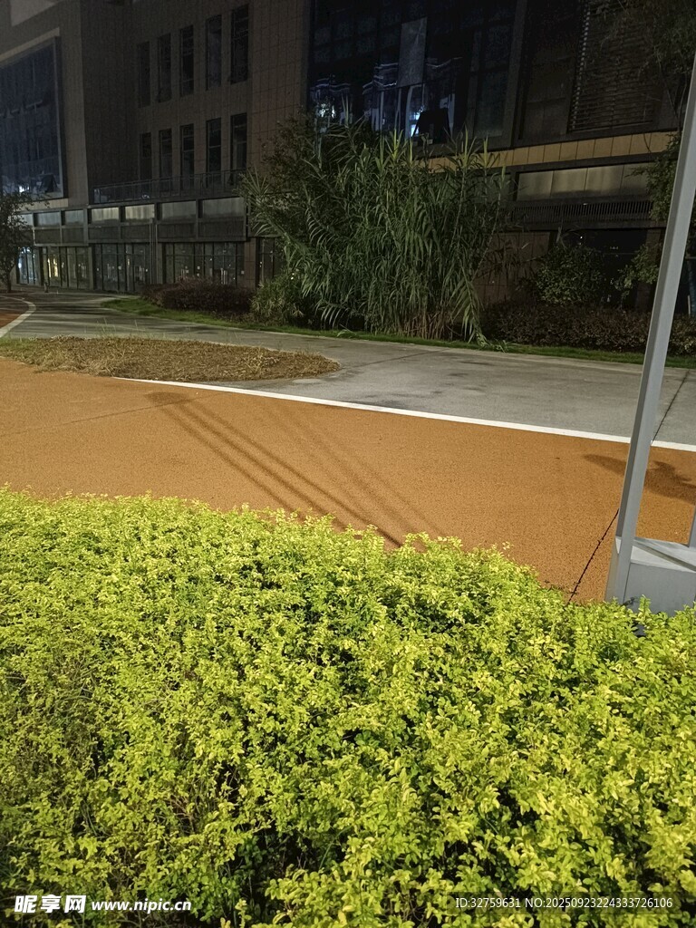 夜晚路边的翠绿灌木丛