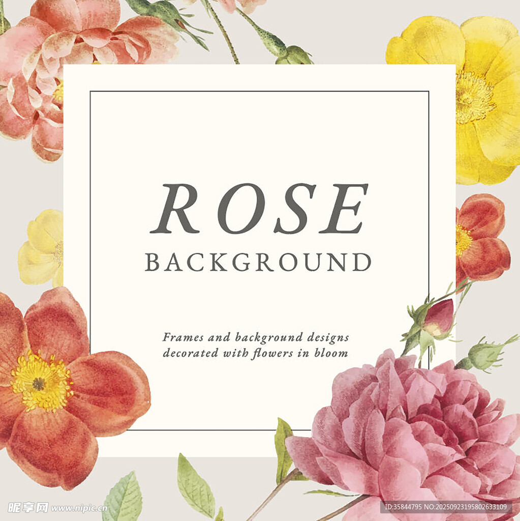 玫瑰花卉背景图