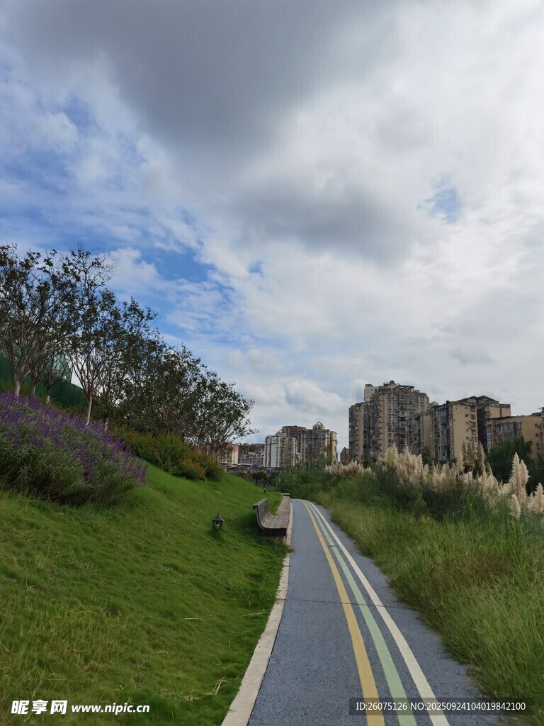 城市中的宁静骑行小路