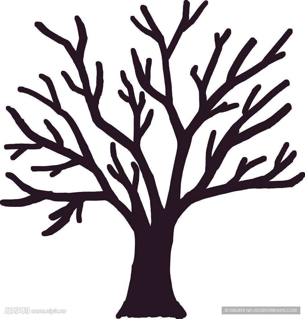 简约无叶树剪影 树杈 大树