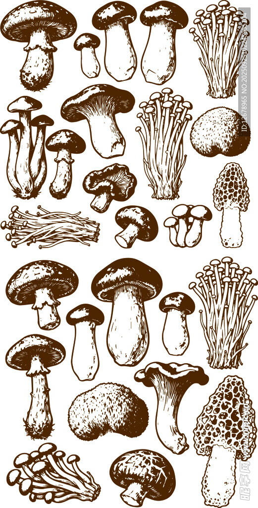 多样蘑菇手绘插画集合