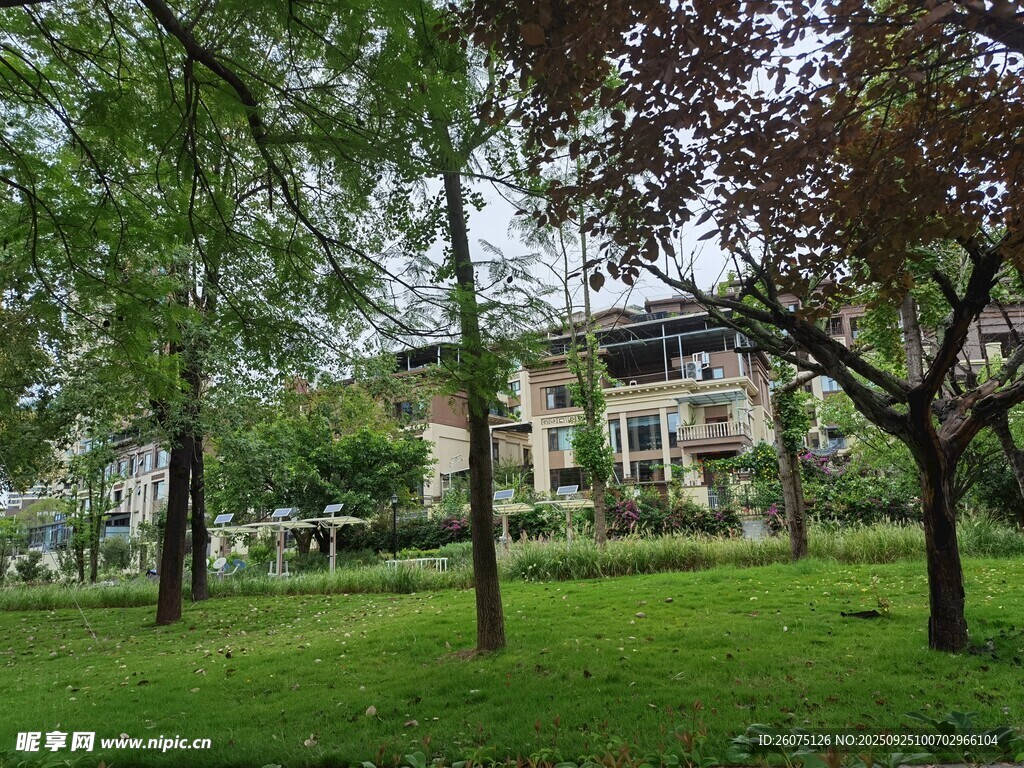 绿树环绕的静谧庭院