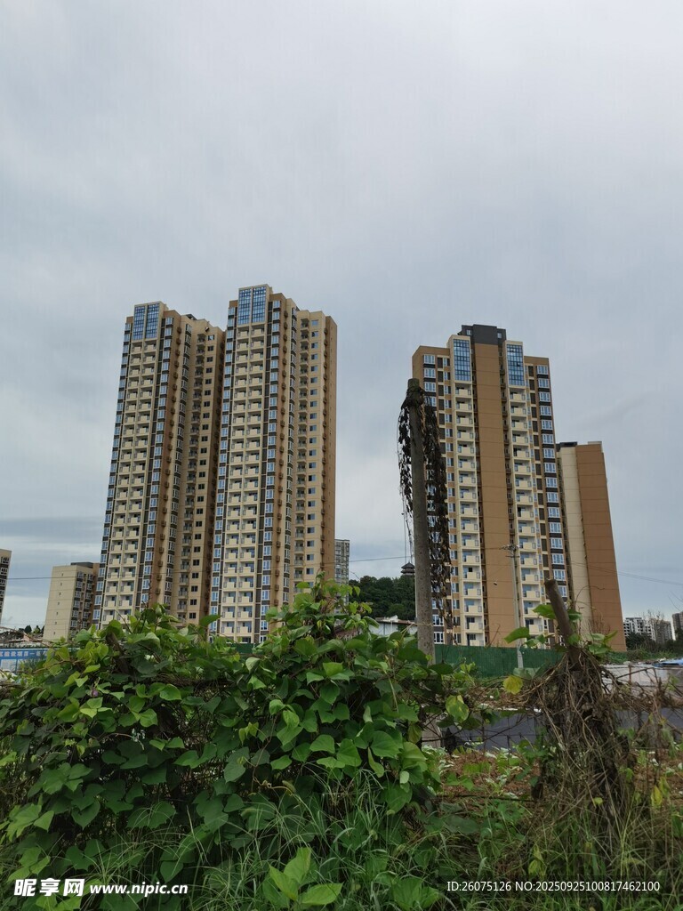 城市中林立的高层住宅楼