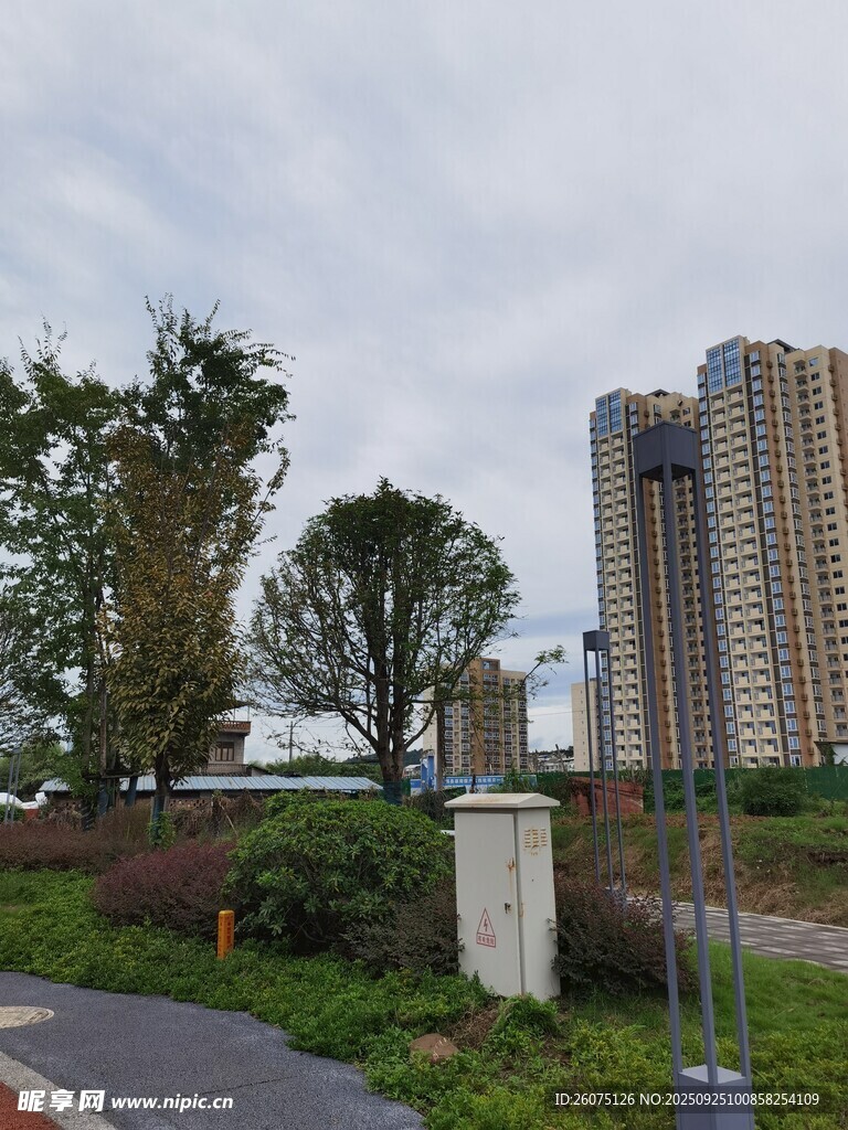 城市公园旁的高楼景观