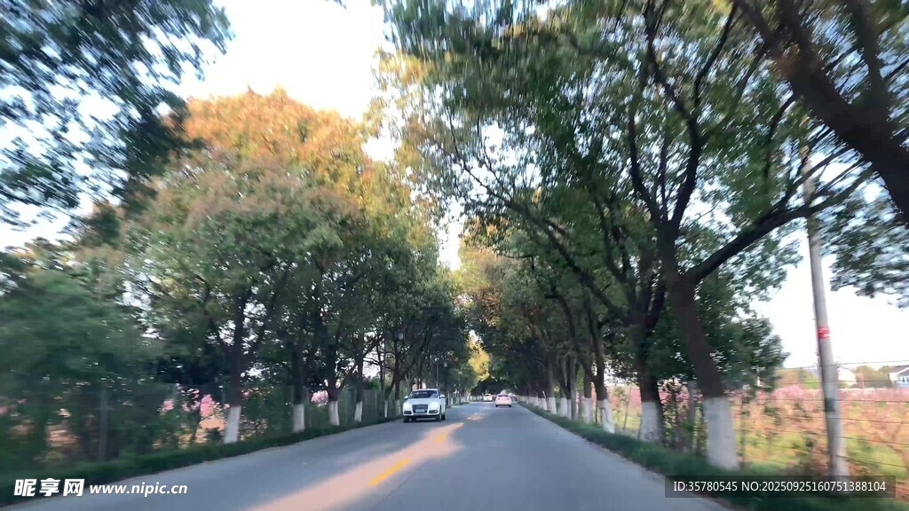 开车第一视角素材