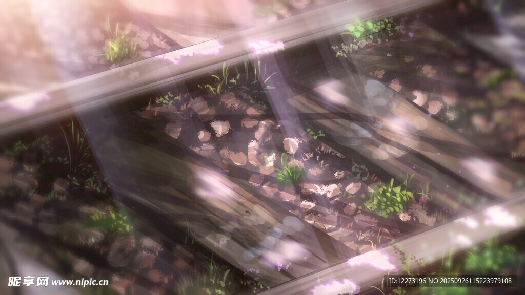 木质台阶下的绿意生机