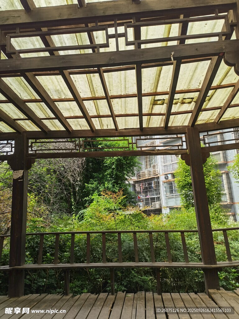 木质凉亭下的绿意景致