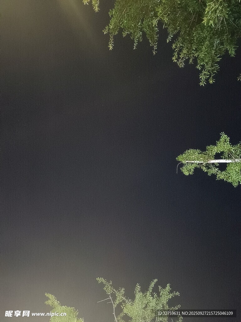 水面倒影绿植景象