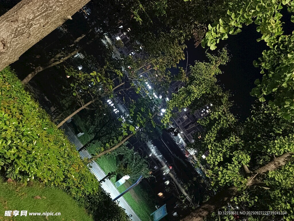 夜晚绿植环绕的梦幻场景