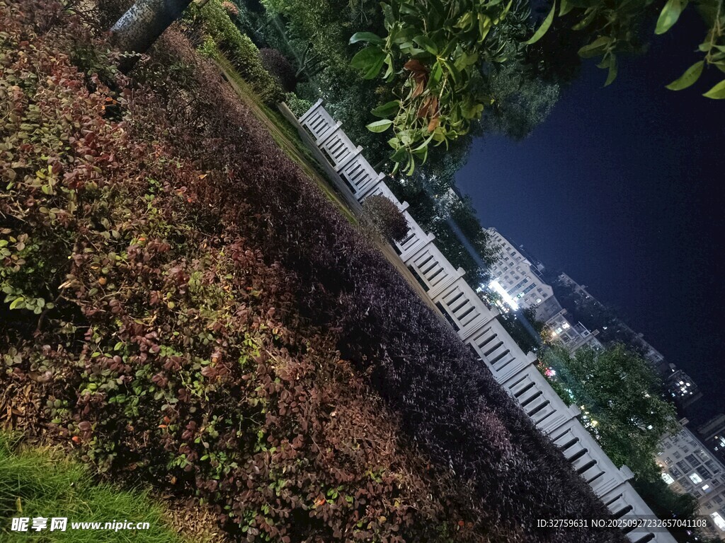 俯瞰城市绿植与建筑景观