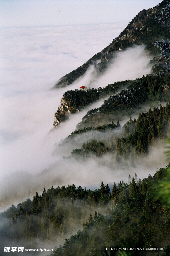 山间云雾缭绕的翠绿景致