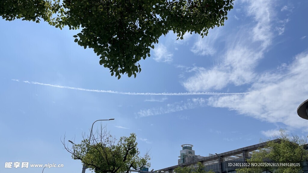 蓝天绿树间的清新景致