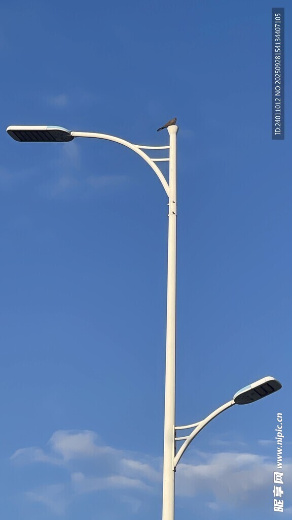 蓝天白云下的路灯