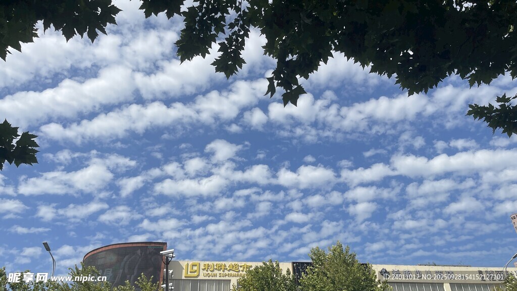 蓝天白云下的城市景致