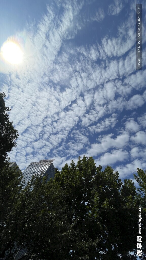 蓝天绿树间的美丽云景