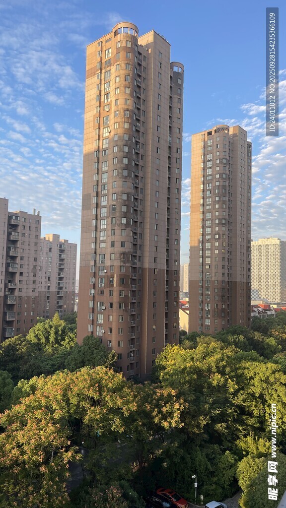 城市高楼与葱郁绿植景观