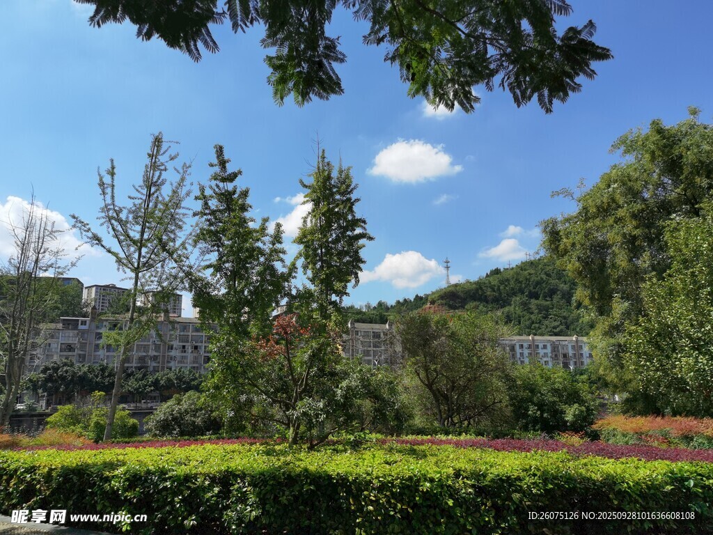 户外绿意盎然的美丽景致