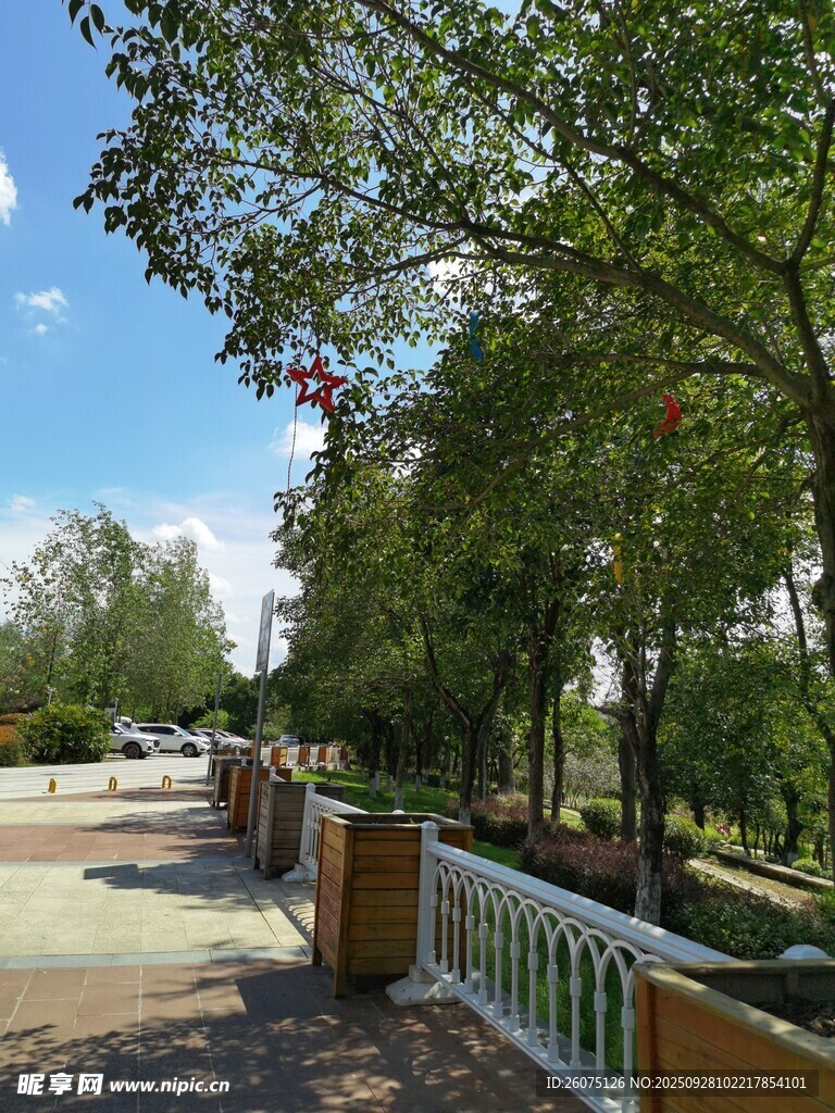 林荫步道惬意户外景致