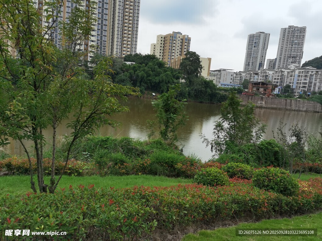 城市河畔绿意盎然景观