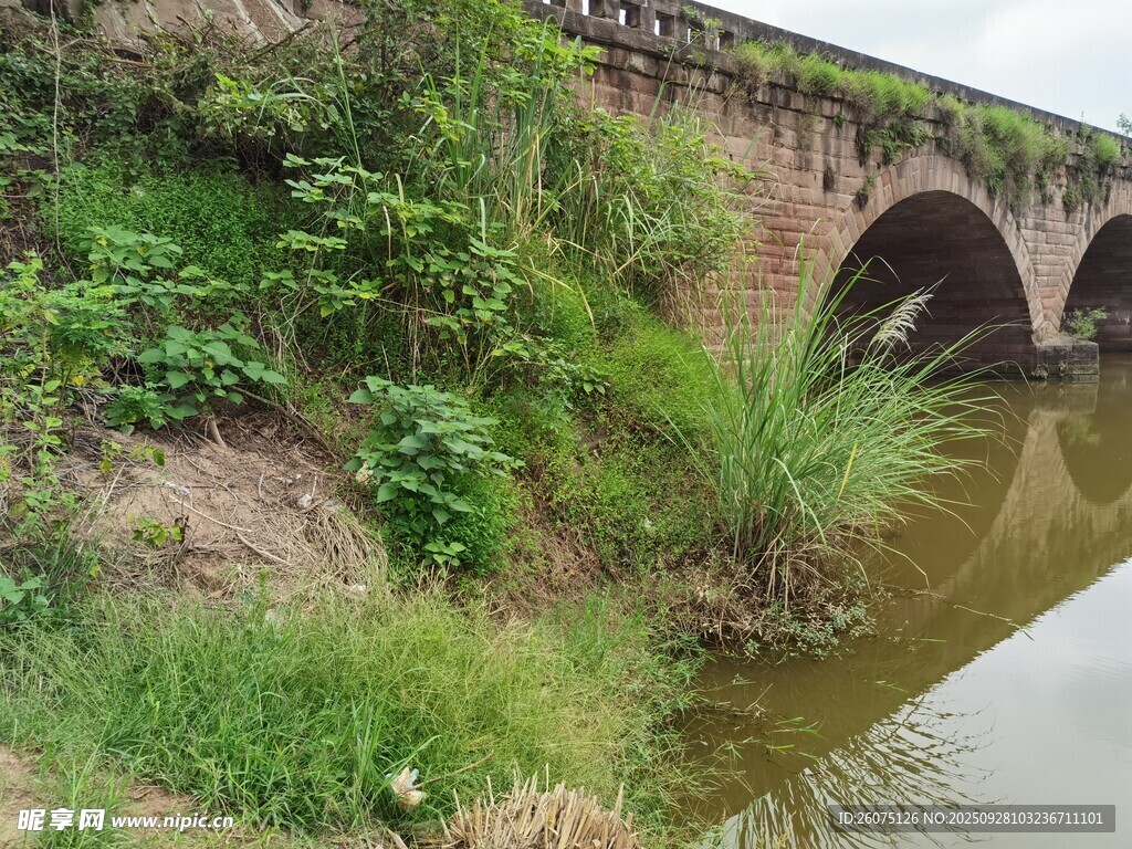 古老石桥下的自然景致