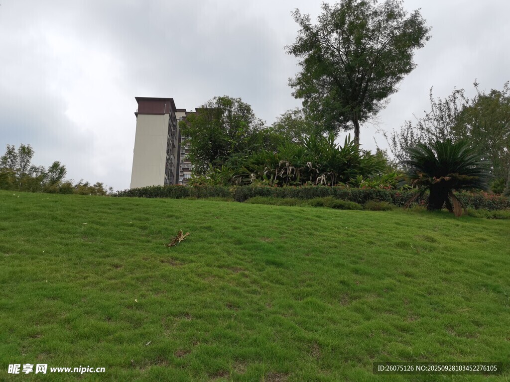 绿草如茵中的古朴塔楼