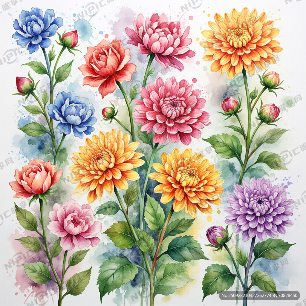 各种各样花卉 四方联系