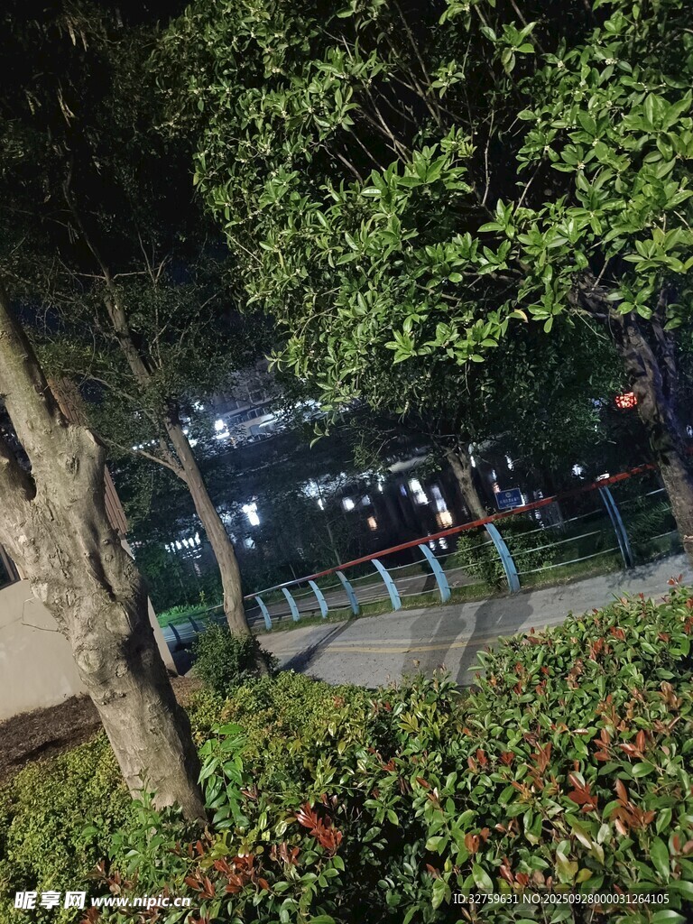 公园夜景下的绿植与车辆