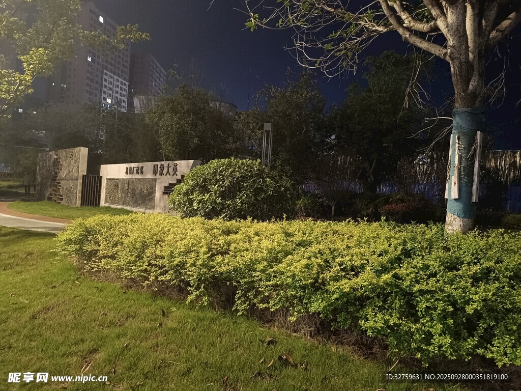 夜晚小区绿植景观